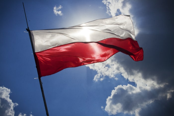 Ranking Kasyn Online w Polsce: Top 10 Legalnych Casino